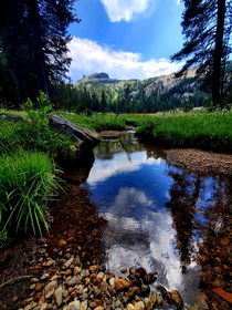 Pacific Valley Trail Sierra Nevada CA  x 
