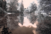 Palace Park Pond in Apeldoorn The Netherlands in infrared 