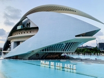 Palau de les Arts Reina Sofia designed by Santiago Calatrava construction began in  and the building opened in 
