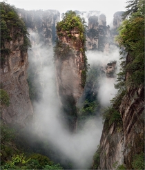 Pandora II - Zhangjiajie National Forest Park China This area was one of the inspirations for the floating mountains of the movie Avatar  photo by Yury Pustovoy