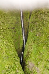 Papalaua Falls Molokai H   m high waterfall with  drops tallest drop is  m high mostly visible here