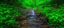 Parfeys Glen is Wisconsins first State Natural Area and its a beautiful place 