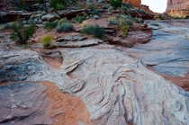 Patterns on the ground at Arches National Park Utah 