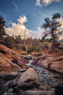 Peaceful stream in The Devils Punchbowl CA 