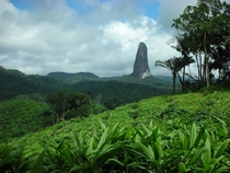 Peak in the jungle Sao Tome amp Principe islands Africa  By Filippo Aragone