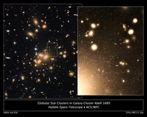 Peering deep into the heart of the massive galaxy cluster Abell  NASAs Hubble Space Telescope has nabbed more than  globular clusters the largest population ever seen containing some of the oldest surviving stars in the universe 