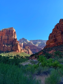 Perfect morning at The Grotto - Zion National Park UT 