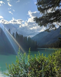 Perfect sunlight at Bow river 