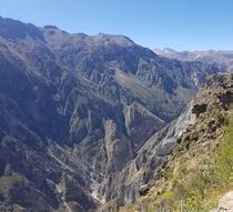 Peru Colca Canyon  x  