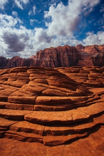 Petrified sand dunes in Snow Canyon State Park - St George Utah 