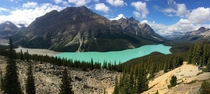 Peyto Lake Banff AB 