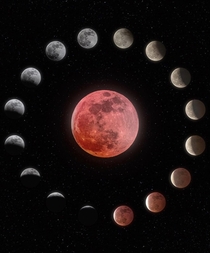 Phases of the Super Blood Wolf Moon