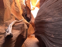 Picture I took at the entrance of Secret Canyon in Lake Powell Arizona 