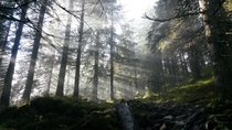 Picture I took in the deep forests of Norway this weekend 
