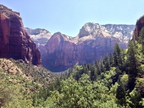 Pictures never do it justice but Zion National Park is really something to marvel 
