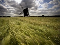 Pitstone Windmill and Blowing Grasses Bucks England 
