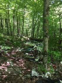 Plane crash on Spruce Knob West Virginia