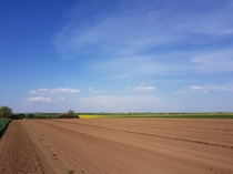 Planting corn in Serbian fields