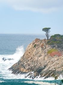 Point Lobos California 