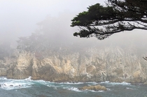 Point Lobos Carmel CA 