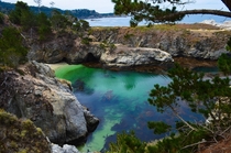 Point Lobos - Carmel CA 