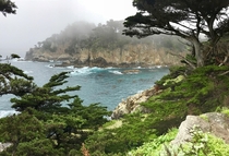 Point Lobos in California 