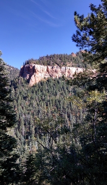 Ponderosa pine trees engulf a rock formation along the North Kaibab Trail in Arizona USA 