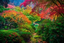 Portlands Japanese garden Photo taken by Kevin McNeal 