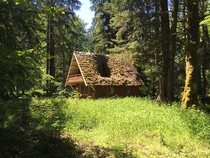 Posted a pic of a abandoned forestry cabin that had collapsed This is what it looked like a couple years ago
