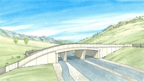Proposed Wildlife Crossing- Teton County Wyoming
