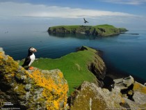 Puffin with a nice view  x post from rpics