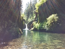 Punch Bowl Falls on Eagle Creek in Oregon I promise this isnt filtered I think the bright sun washed it in a weird way but I love the way it came out 