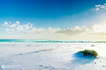 Pure white sand on Pensacola Beach FL 