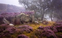 Purple Gorge Peak District UK  by James Mills  Much larger file in comments