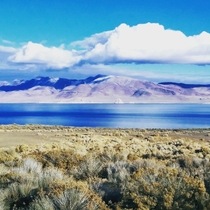 Pyramid Lake Pauite Reservation Sutcliffe NV x taken by me last Winter  Looking East on a brisk clear day about  degrees F This lake evolves and is the subject of a lot of local Myth and Folklore The Pyramid shaped Tufa Rock can be seen near middle of pic