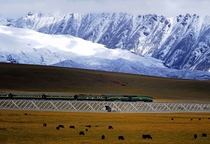 Qinghai-Tibet Railway China 