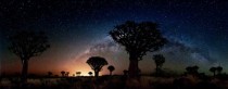 Quiver trees bathed in the cool glow of The Milky Way and the warm light of Keetmanshoop 