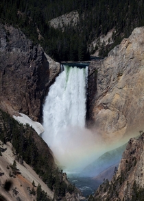 Rainbow in the mist Lower Falls of the Yellowstone River Yellowstone National Park 