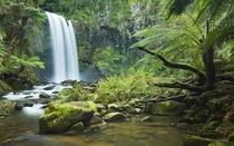 Rainforest Waterfall in Northern Australia 
