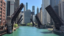 Raised Bridges in Chicago