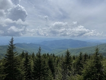 Random view from Clingmans Dome x 