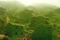 Reclaimed by naturethe abandoned Chinese town of Houtouwan 
