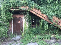 Reclaimed by poison in South Carolina 