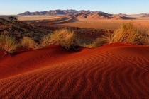 Red Dunes of Namibia  Photo by Justin Reznick
