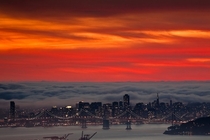 Red San Francisco 