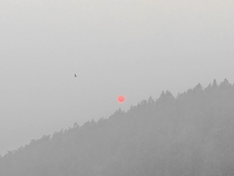 Red Sun at Morning smoked out during the West Coast summer wildfires 