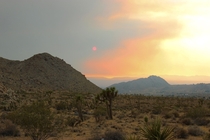 Red sun through a dust storm in Joshua Tree CA 