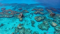 Reefs in Bermuda 