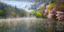 Reflection and mist - near Gwangju South Korea  photo by Alex Lee