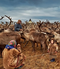 Reindeer herders Nenets Russia Photo by Alessandra Meniconzi